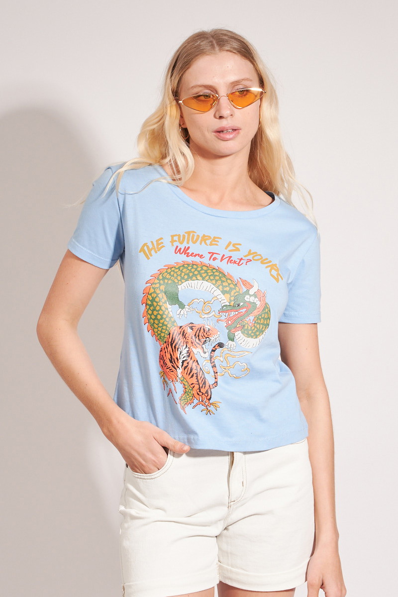 Remera Mc Dragon
